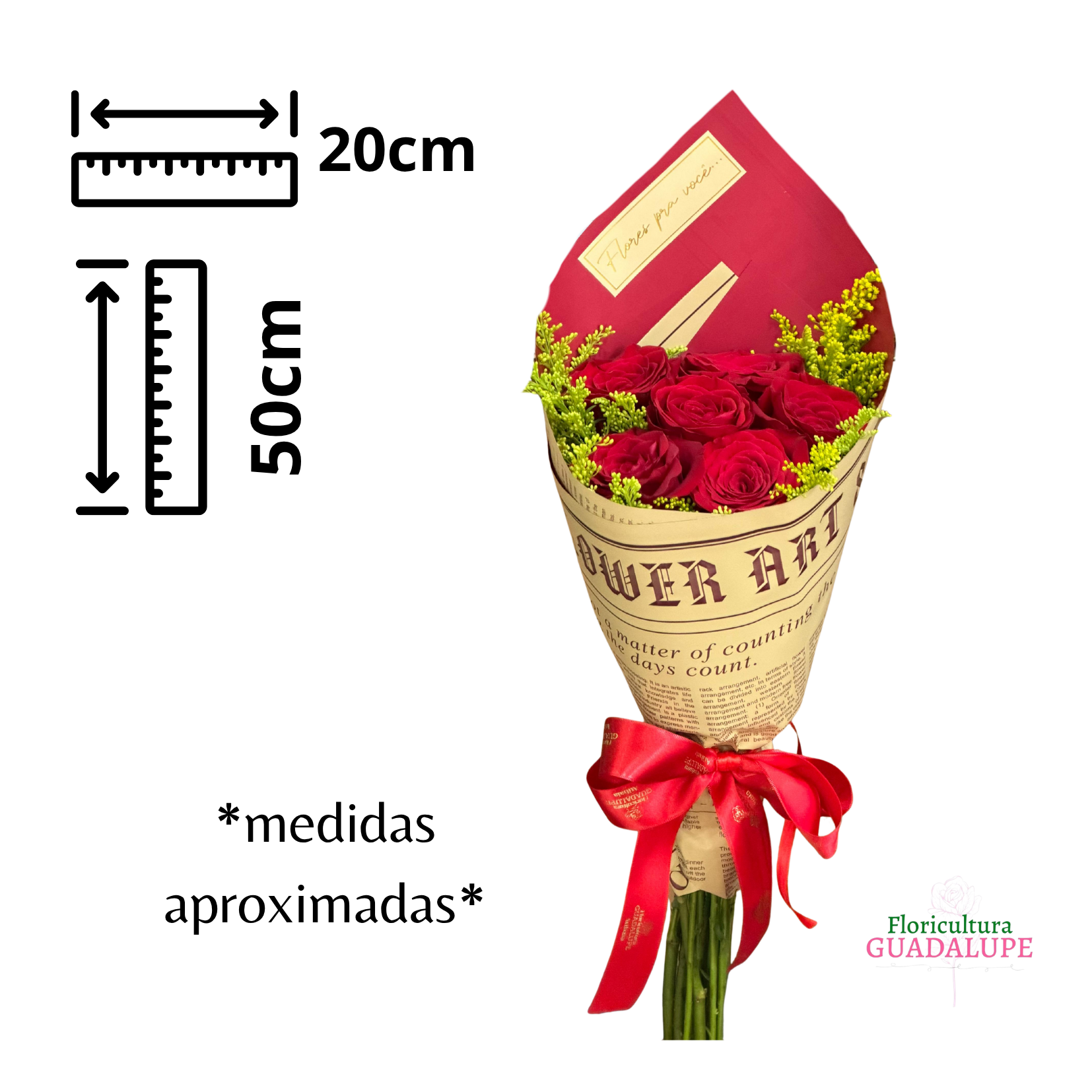 Combo de 6 Rosas Vermelhas 