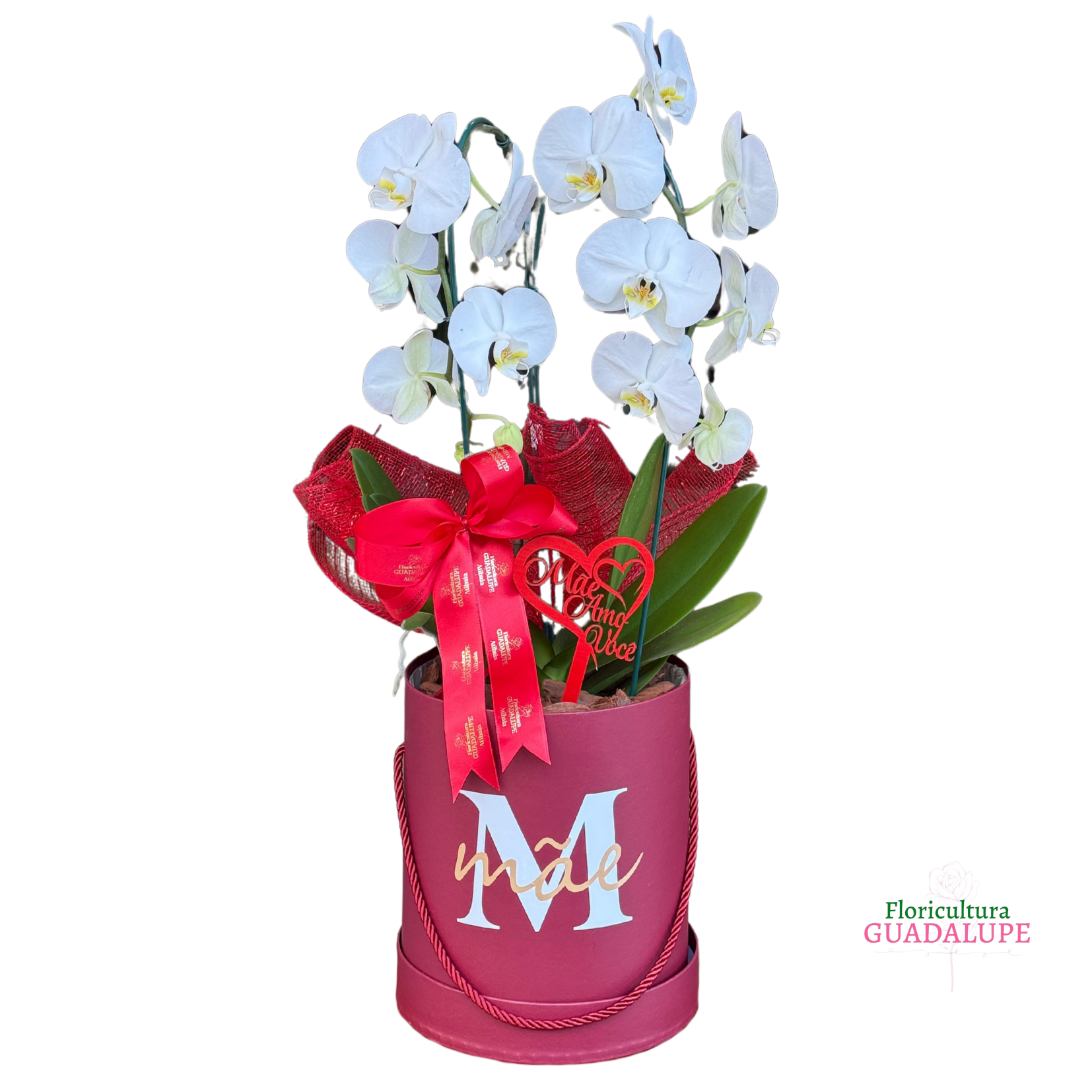 Box Luxo Orqudea - Me