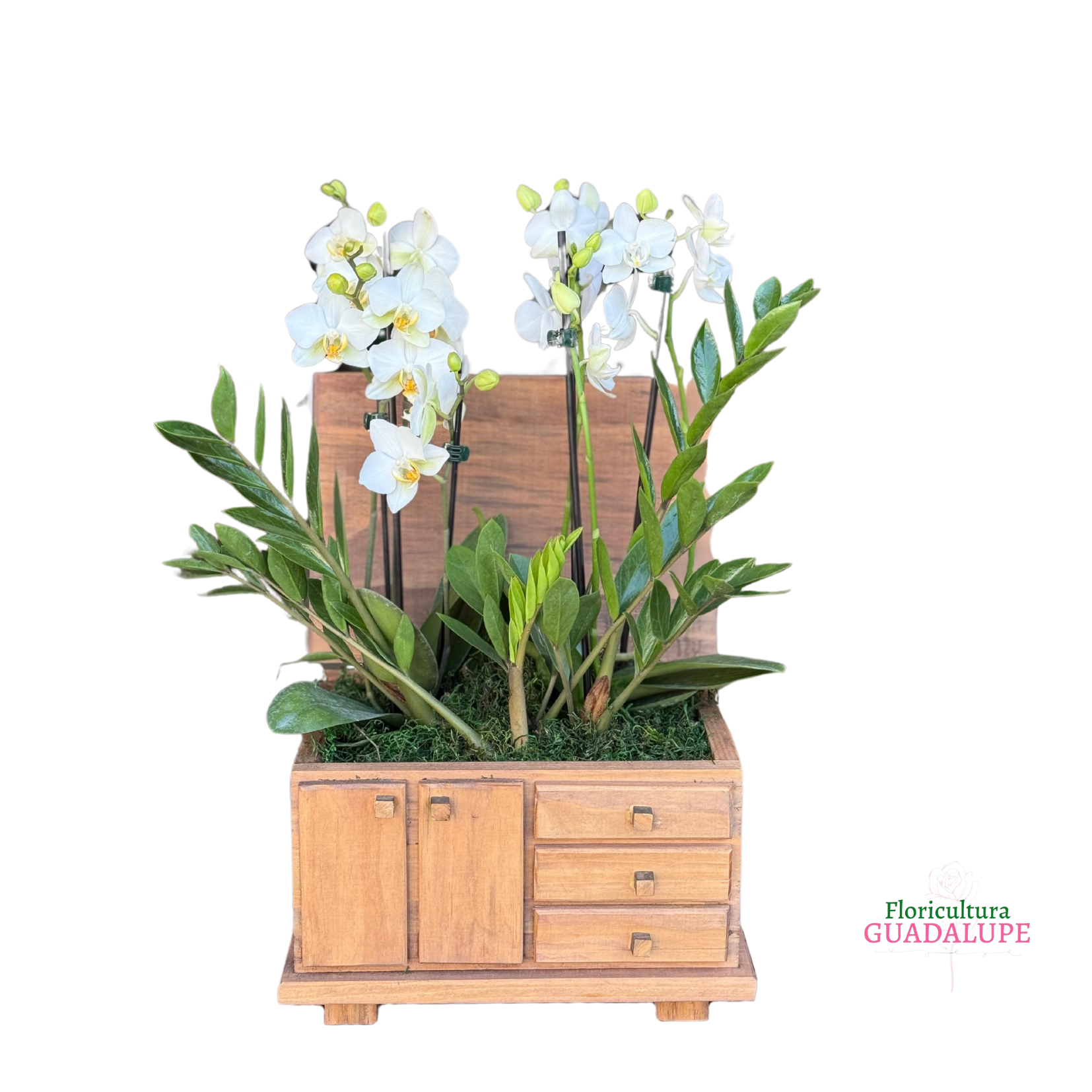 Arranjo de Mini Orqudeas - Ba Rstico 