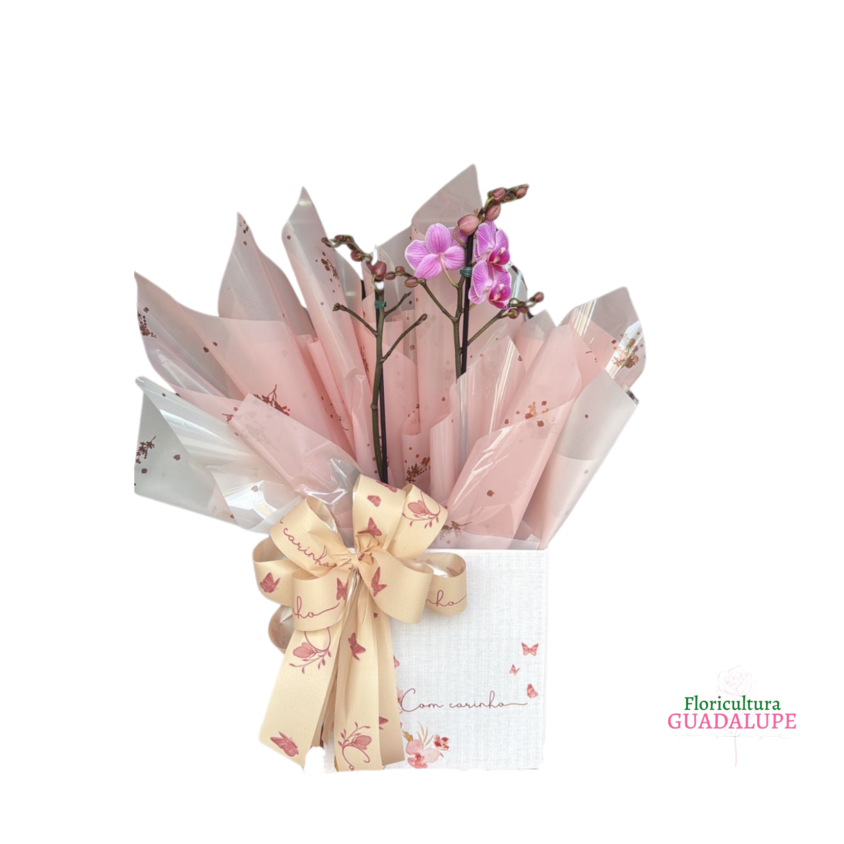 Mini Orqudea - Embalagem de Presente