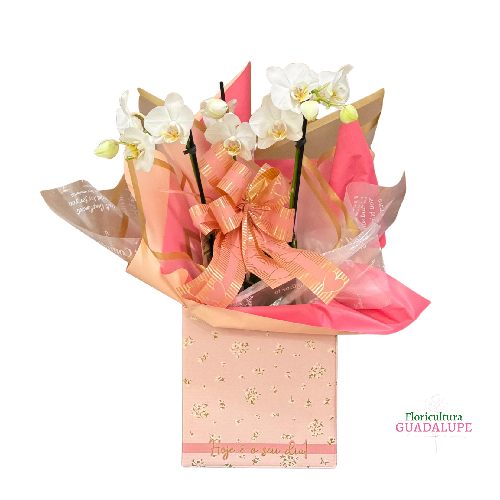 Mini Orqu�dea - Embalagem de Presente