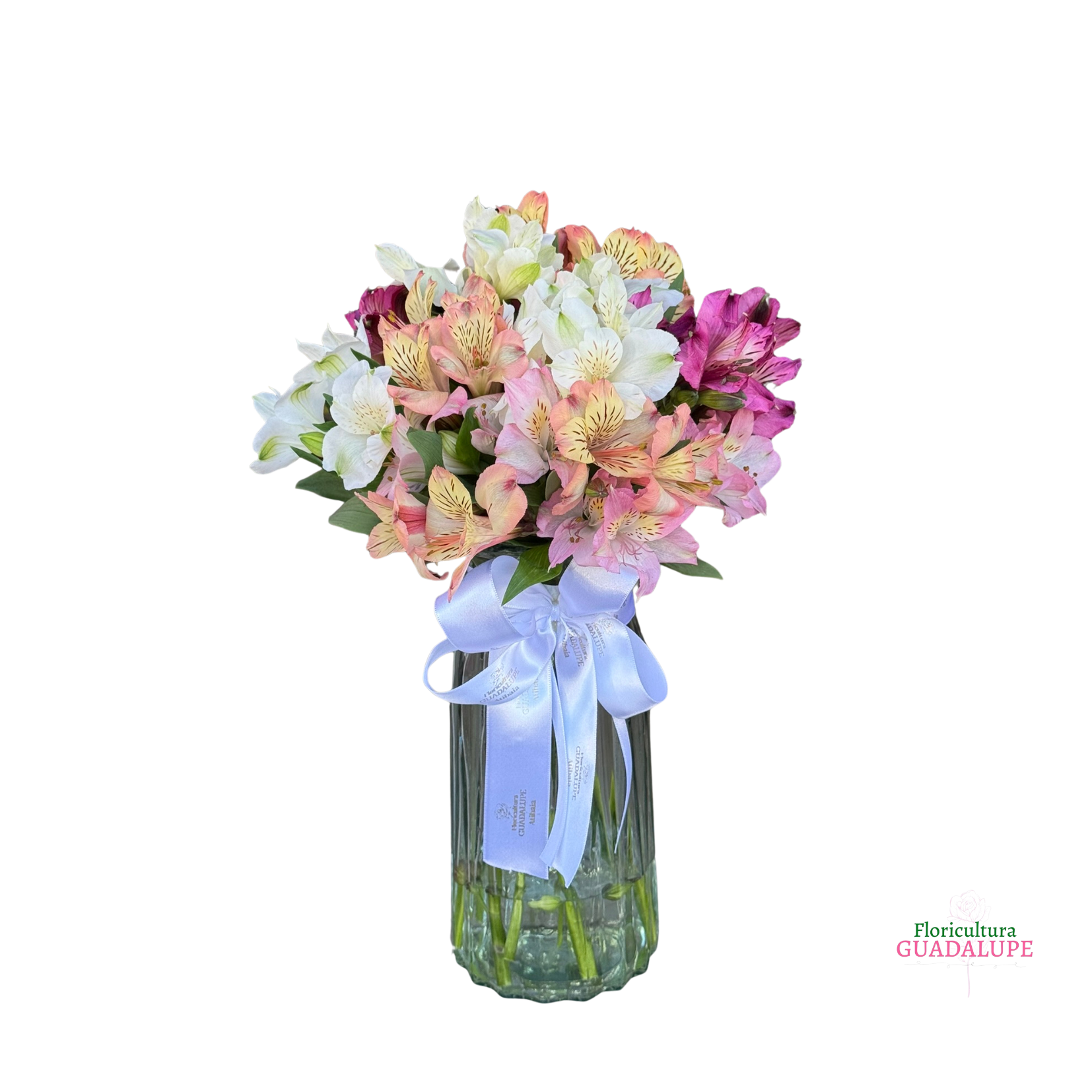 Vaso de Astrom�lias - Petit Edt