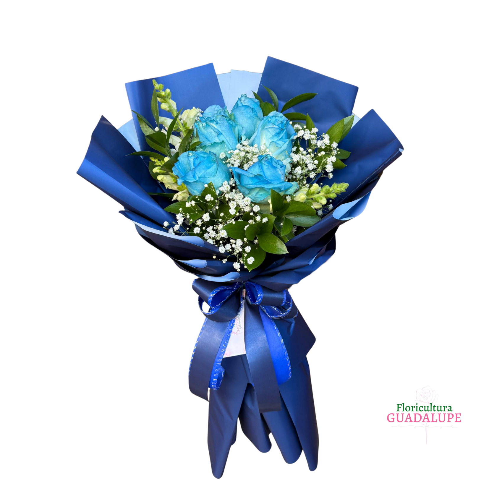 Buqu� Coreano Glan - Blue Edition