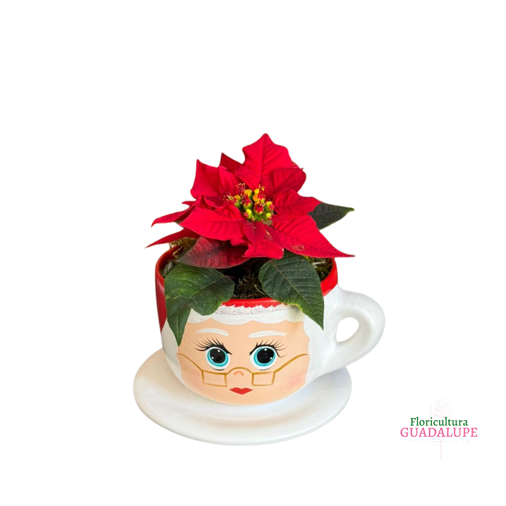 Porta Flores X�cara - Mam�e Noel