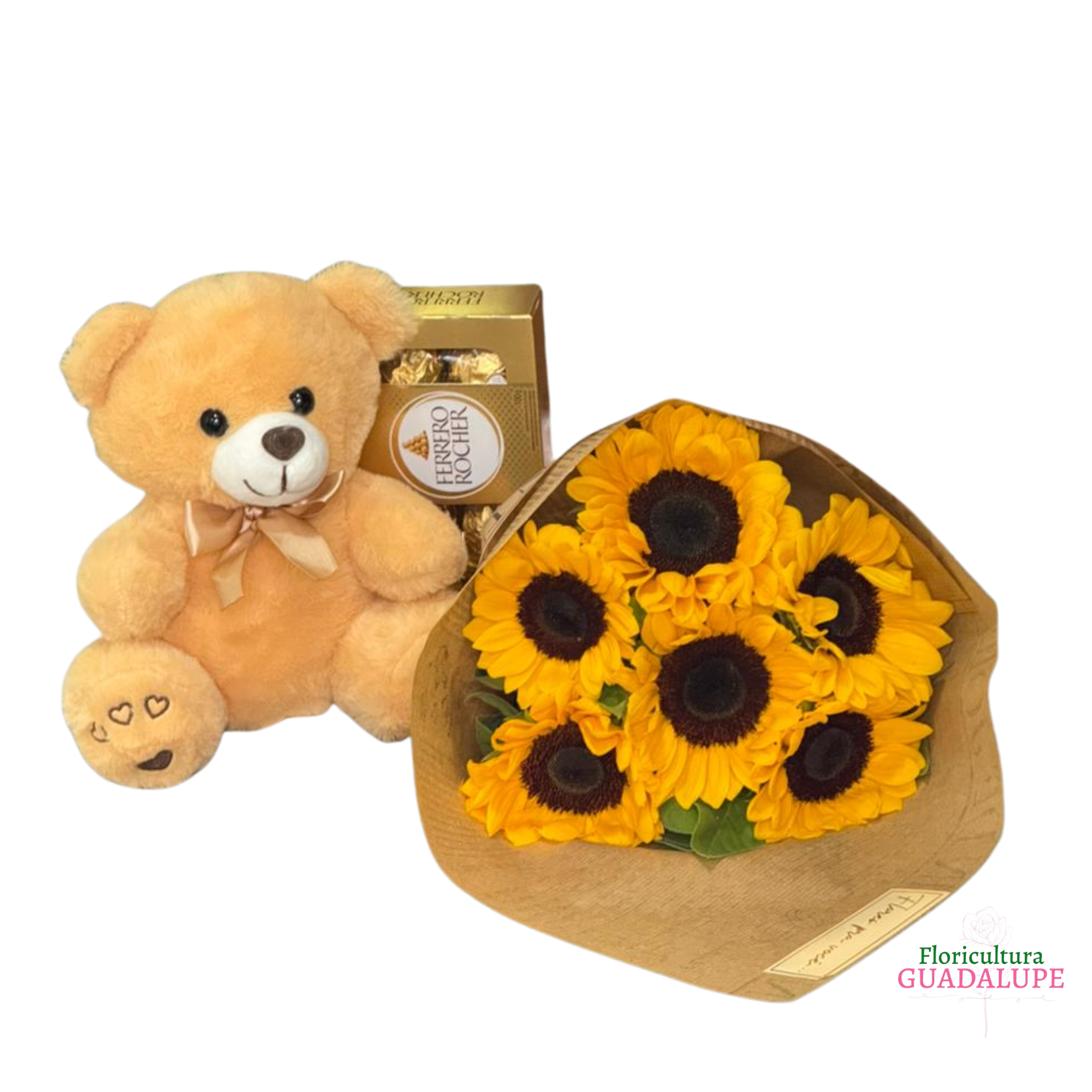 Kit de Girass�is - Little Bear
