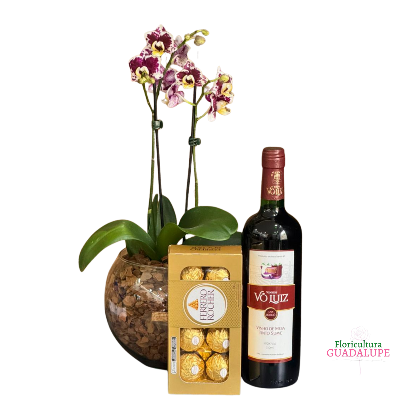 Kit Mini Orqu�dea em Vaso Aqu�rio - Luxury