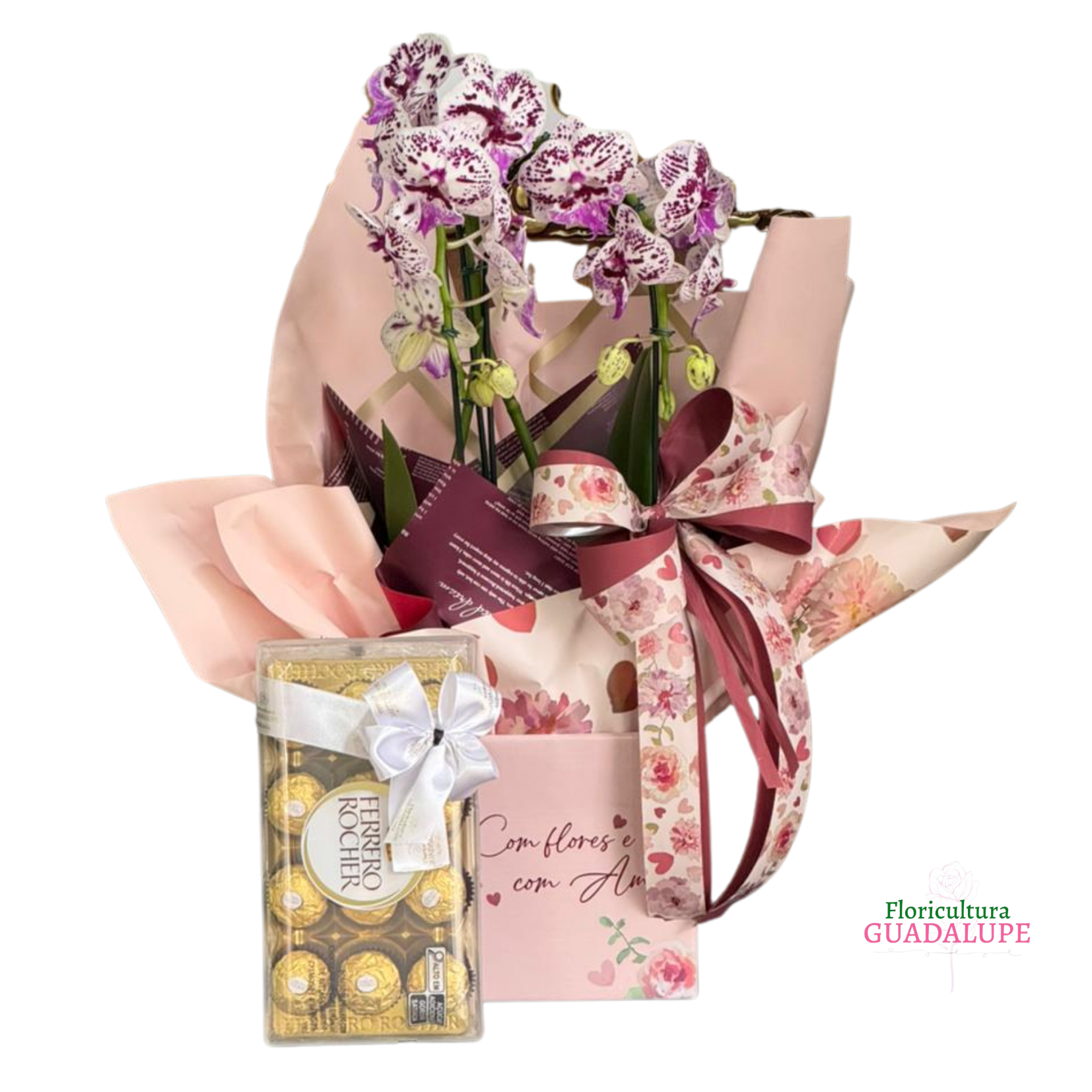 Kit Orqu�dea Presente - Basic