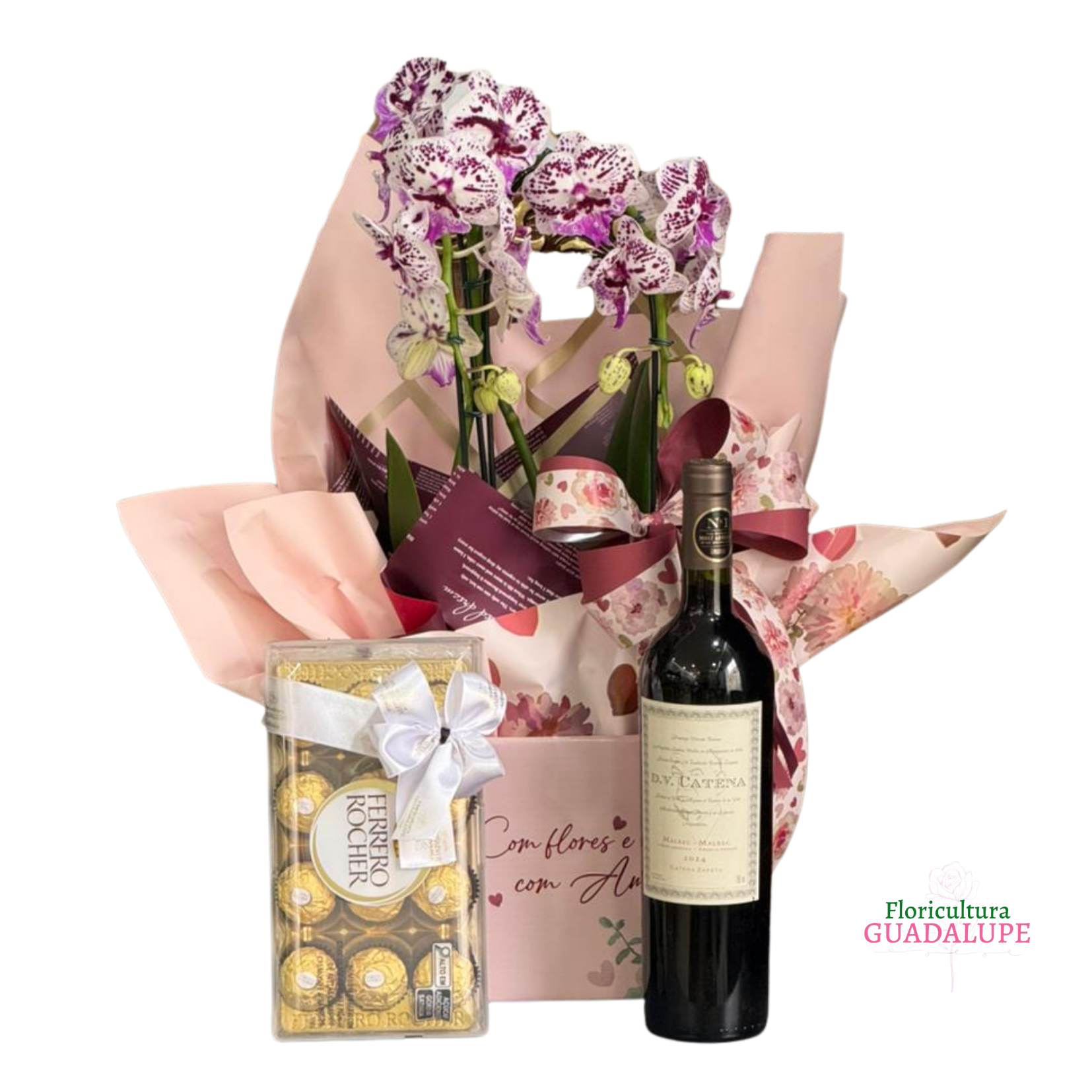 Kit Orqu�dea Presente - Premium