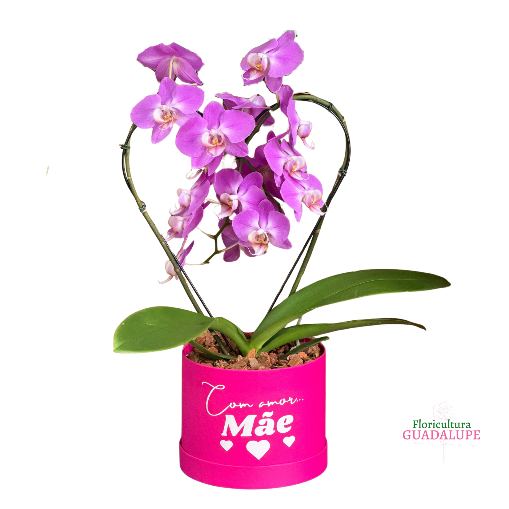 Box Orqu�dea Cora��o - Especial Dia das M�es