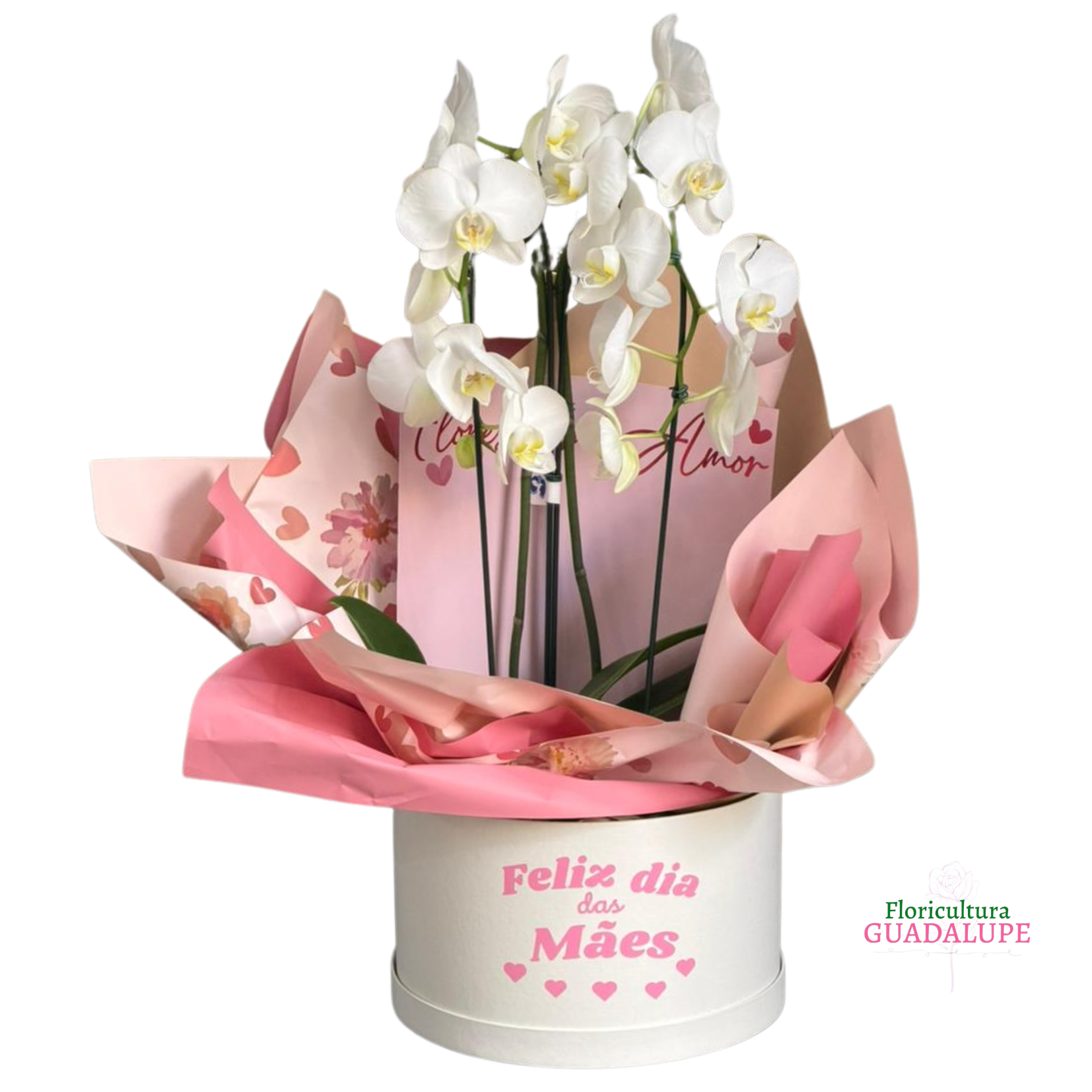 Box Luxo Dia das M�es