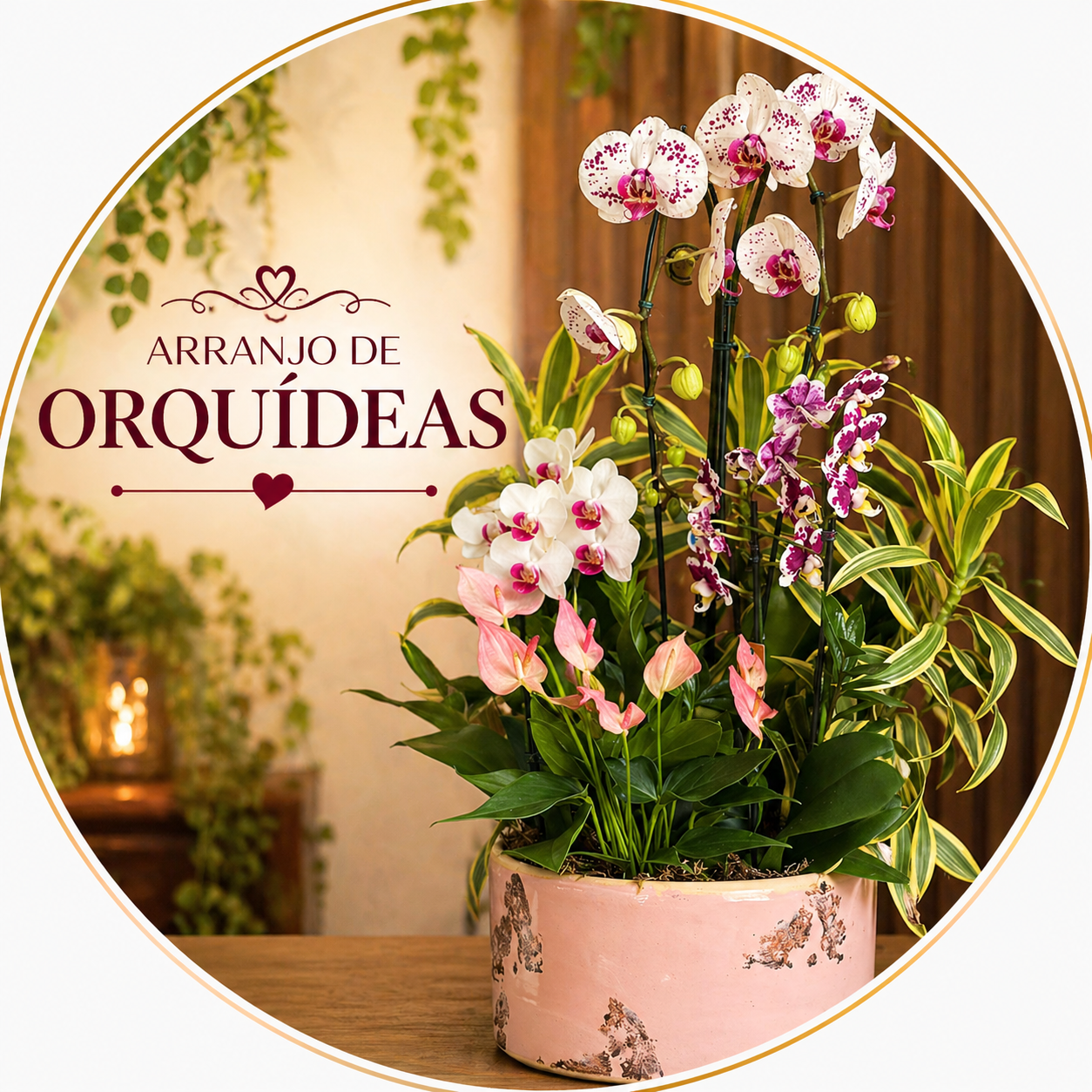 Arranjo de Orqu�deas